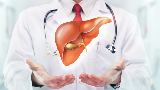 Cara Menjaga Fungsi Hati bagi Penderita Fatty Liver Menurut Pakar Kesehatan