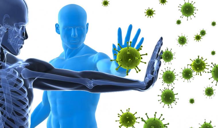 7 Cara Meningkatkan Daya Tahan Tubuh Secara Alami Tanpa Suplemen Berlebihan