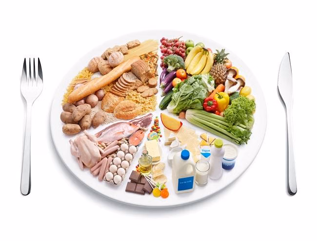 Pilihan Makanan Sehat Bergizi Seimbang untuk Mendukung Energi dan Imunitas Setiap Hari